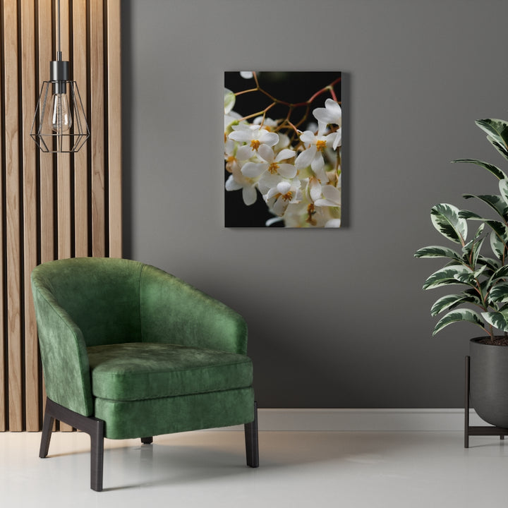 Floral Network - Canvas