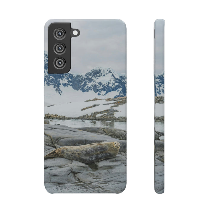 Weddell Relaxing - Phone Case