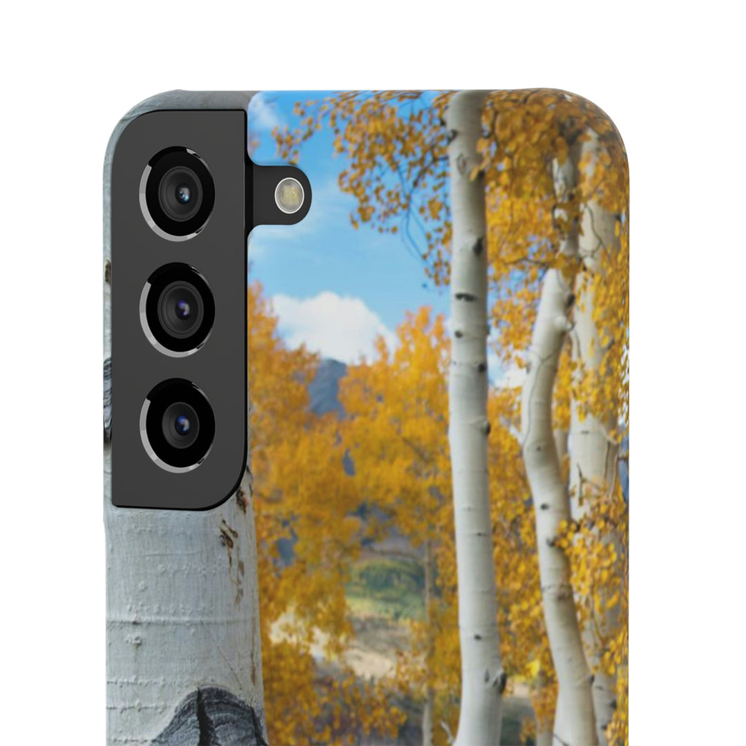 Aspens Changing - Phone Case