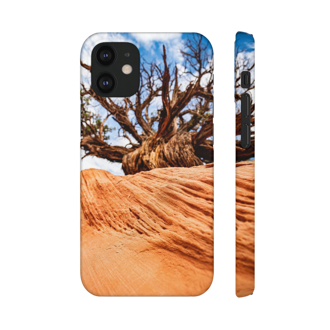 Desert Reach - Phone Case