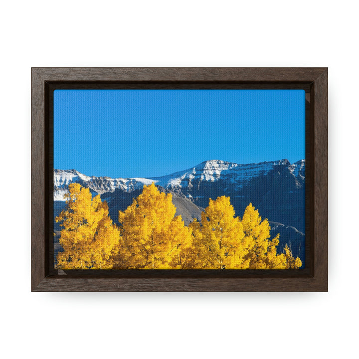 Golden Glow - Canvas with Frame