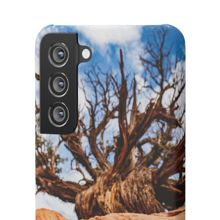 Desert Reach - Phone Case