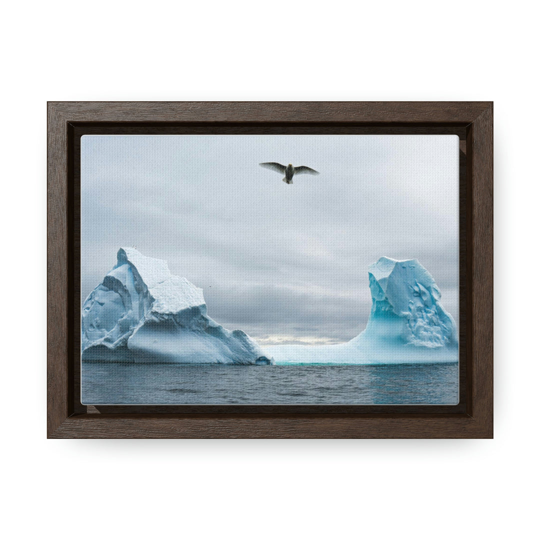 Antarctic Flight - Canvas with Frame