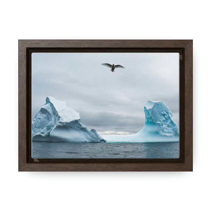 Antarctic Flight - Canvas with Frame