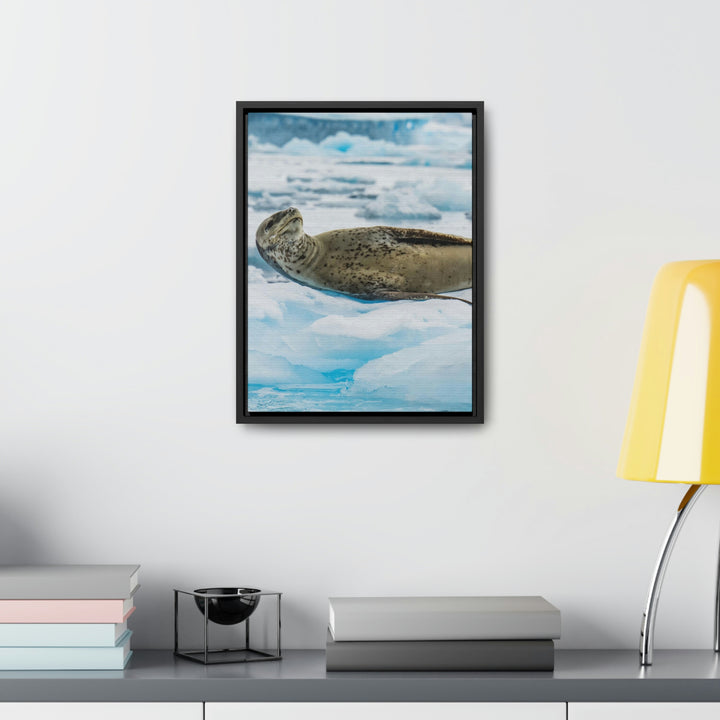 Leopard Seal Relaxing - Canvas with Frame