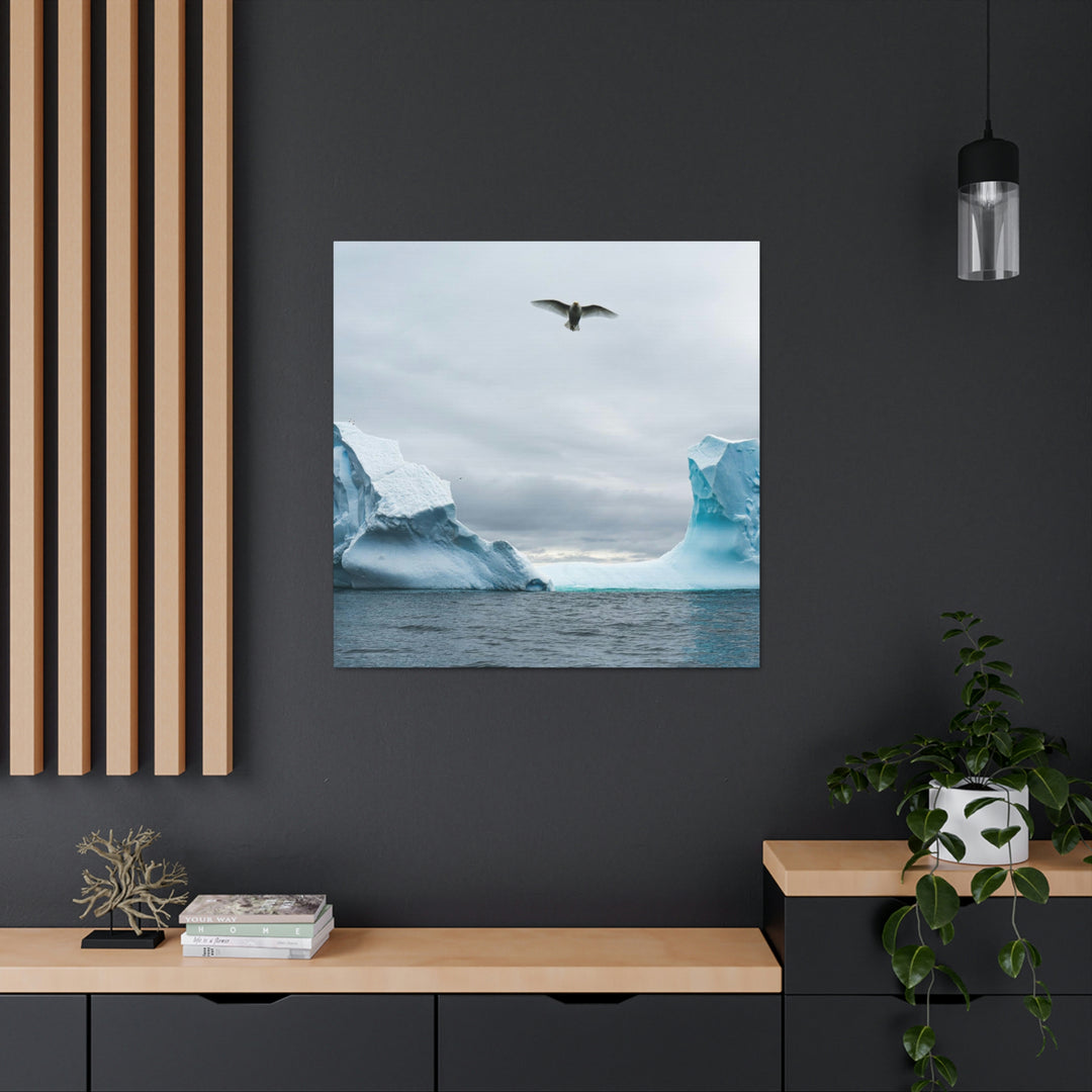 Antarctic Flight - Canvas