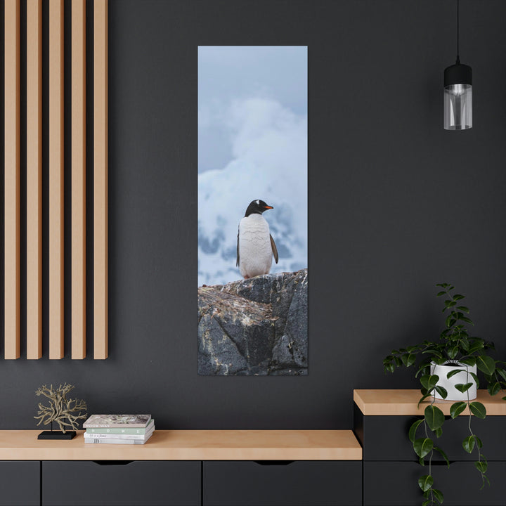 Poised Penguin - Canvas