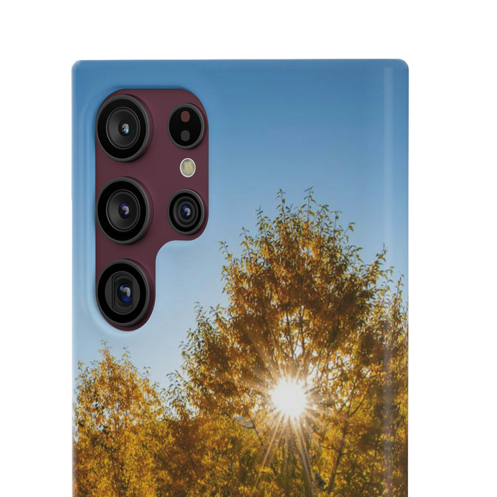 Sun Through the Aspens - Phone Case