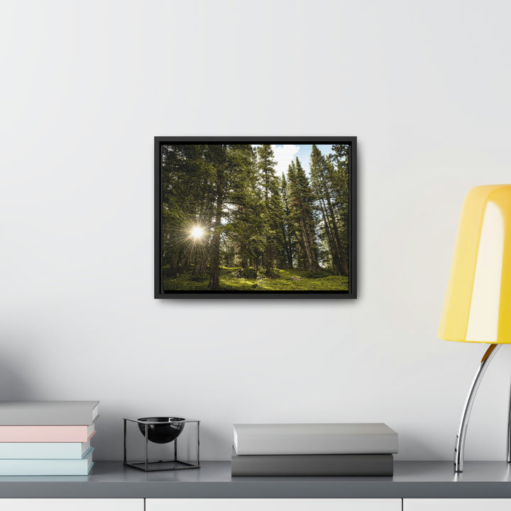 Forest Light - Canvas with Frame