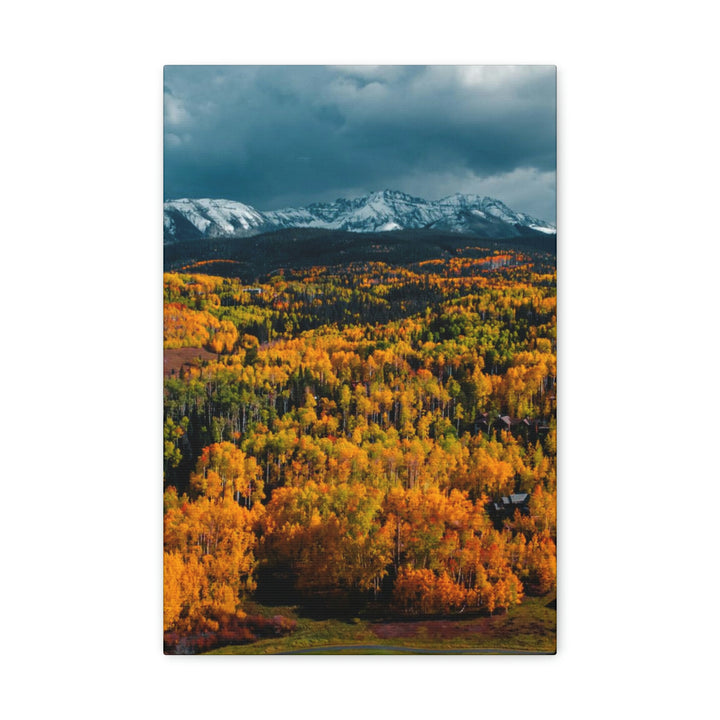 Golds of Autumn - Canvas