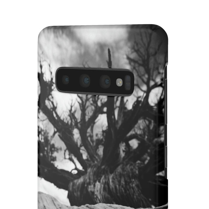 Desert Reach in Black and White - Phone Case