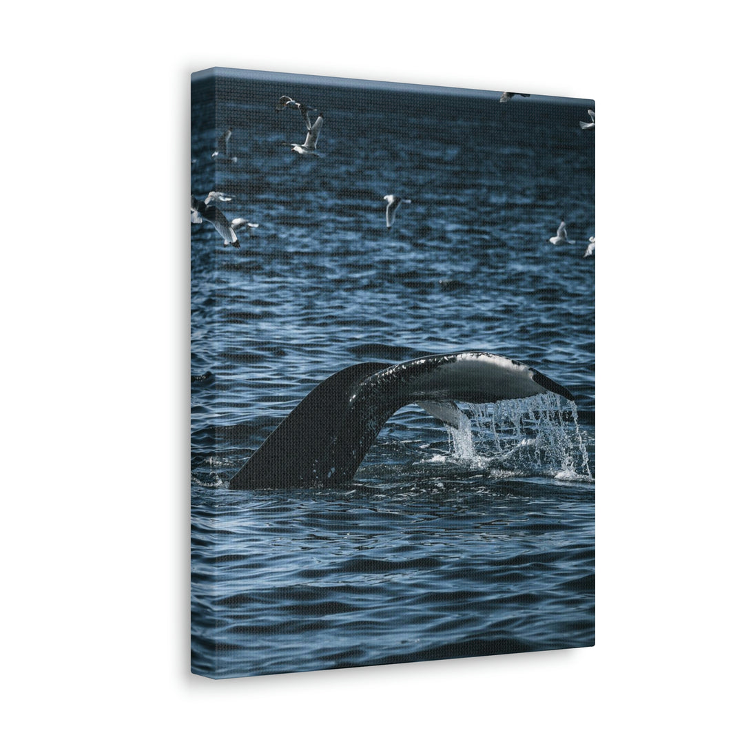 Feeding Tail - Canvas