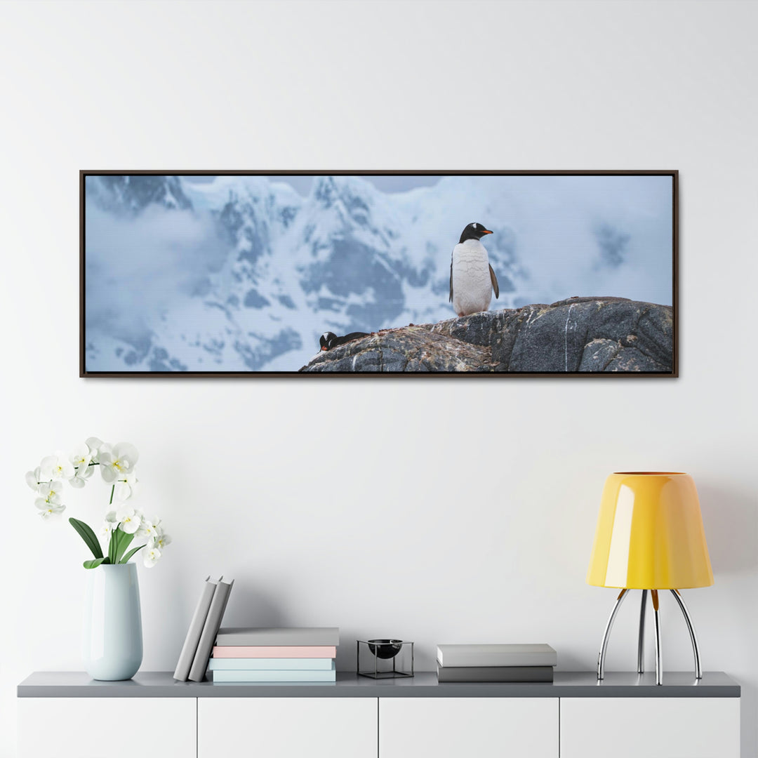 Poised Penguin - Canvas with Frame