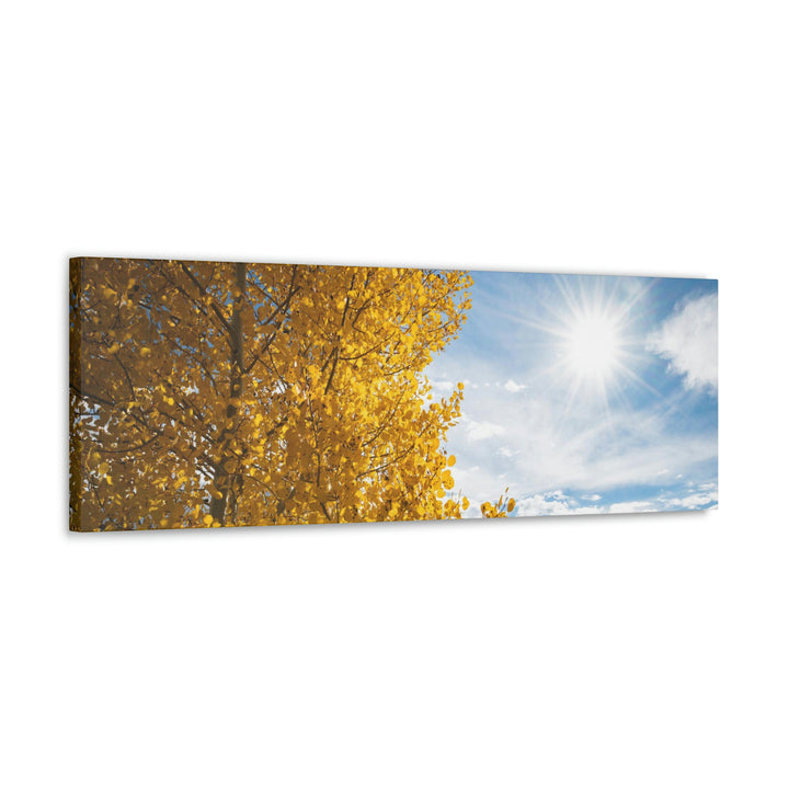 Golden Sunshine - Canvas