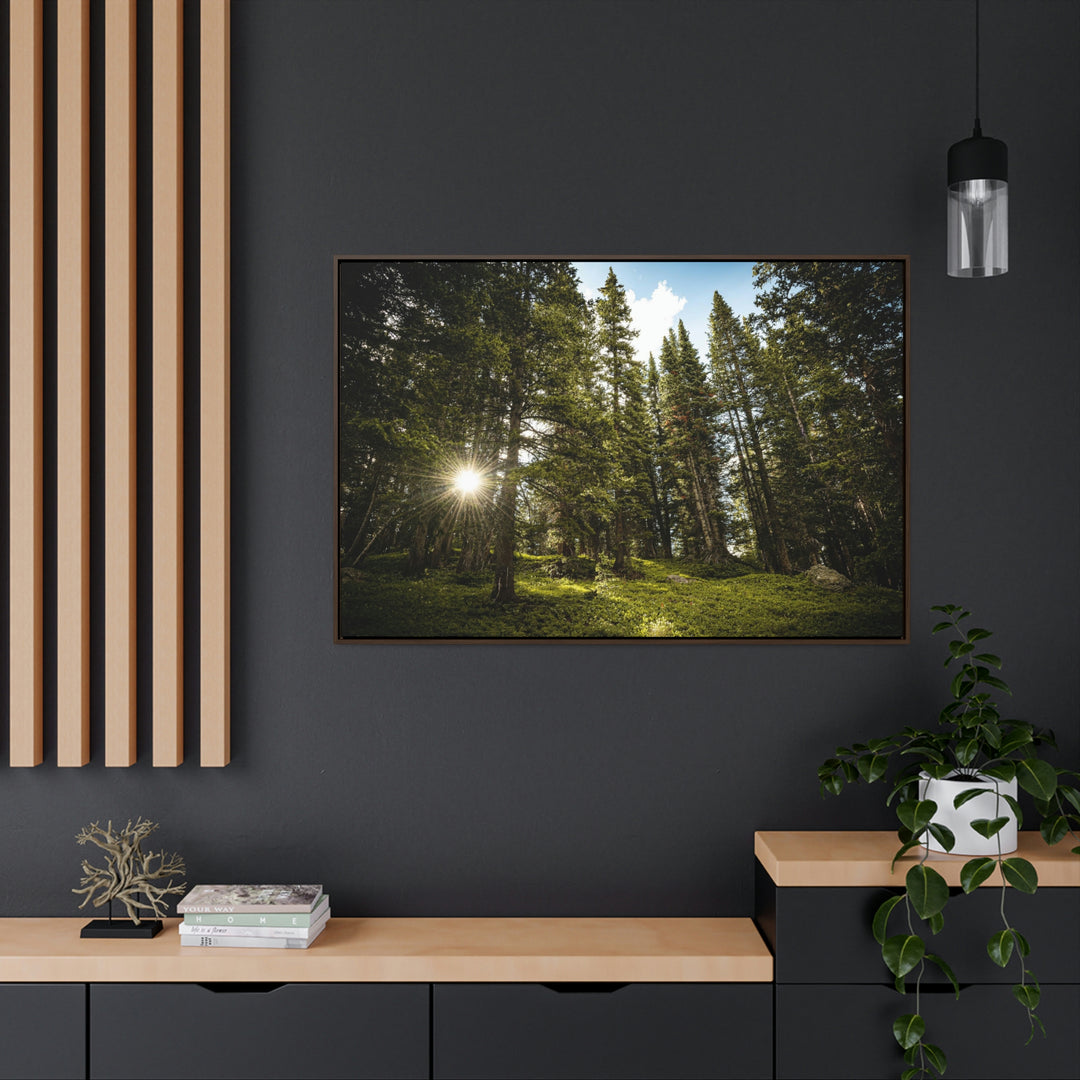 Forest Light - Canvas with Frame