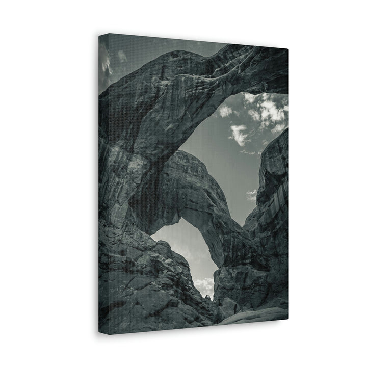 Natural Frames Part 4 in Black and White - Canvas