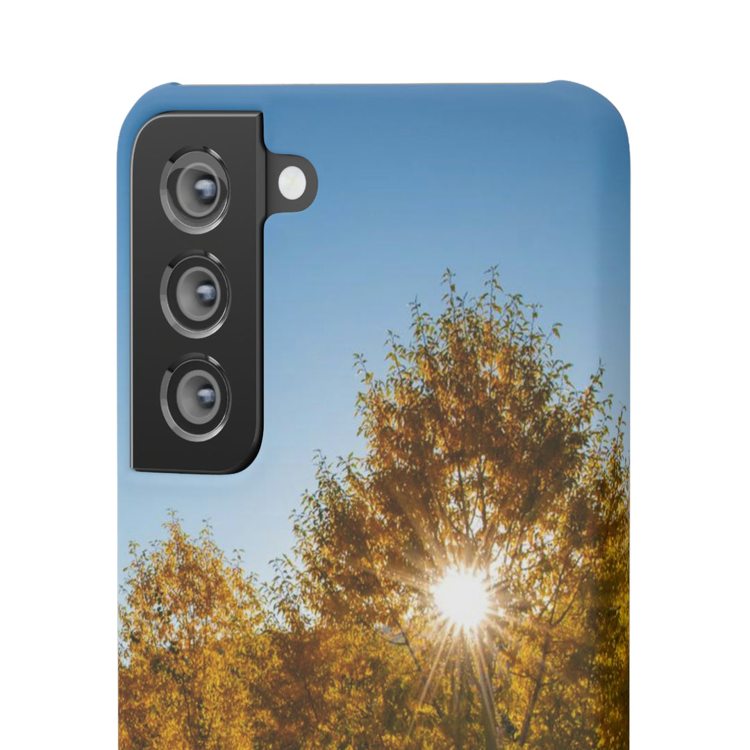 Sun Through the Aspens - Phone Case