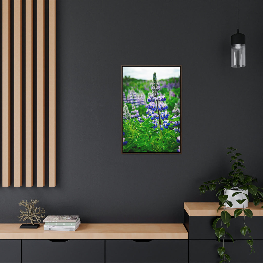 Glowing Lupin - Canvas with Frame