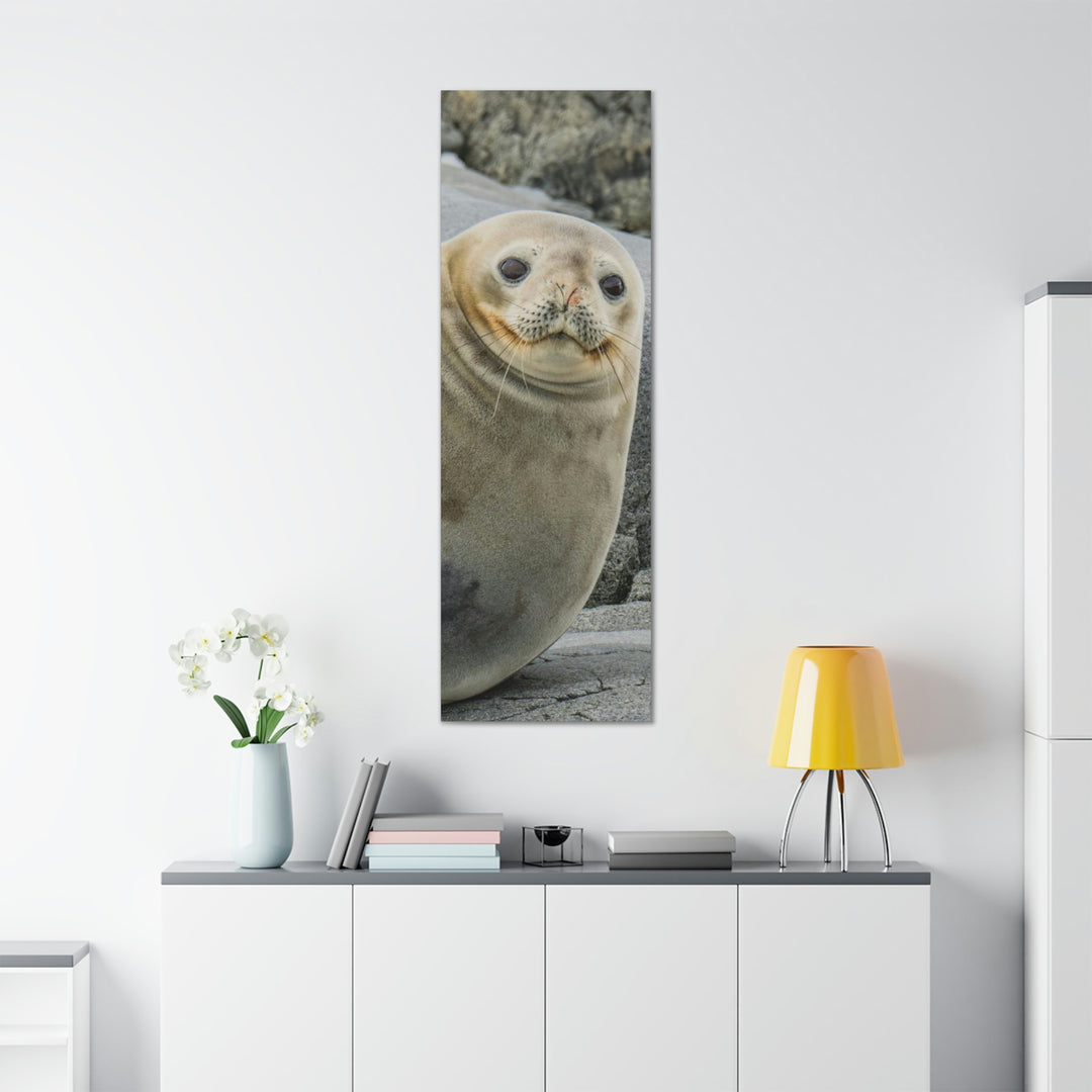 Weddell Smile - Canvas