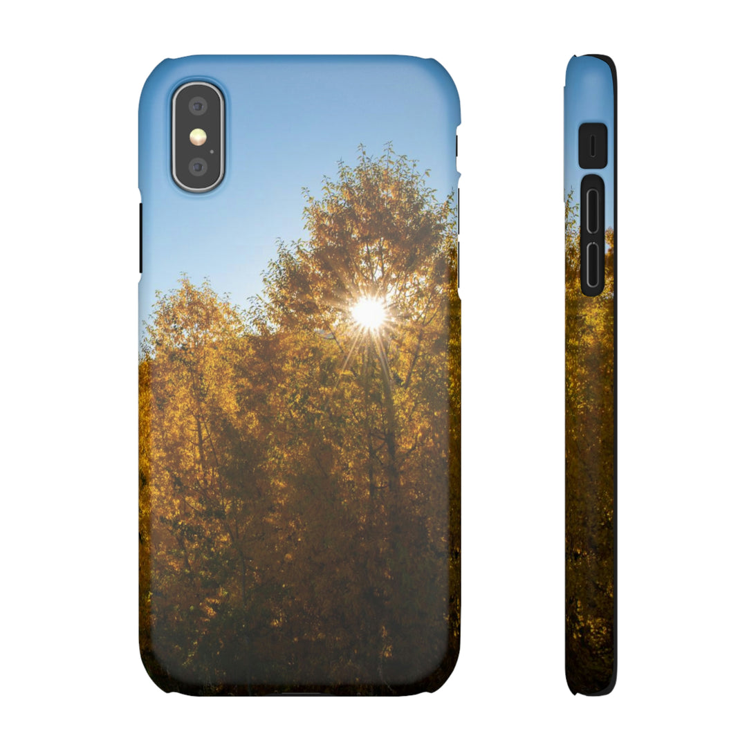 Sun Through the Aspens - Phone Case