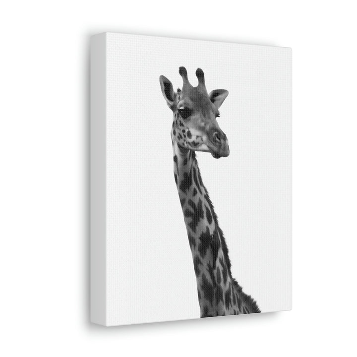 Giraffe Portrait in Black and White  - Canvas