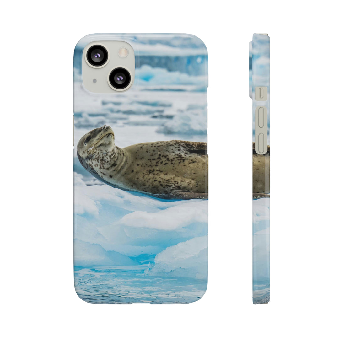 Leopard Seal Relaxing - Phone Case