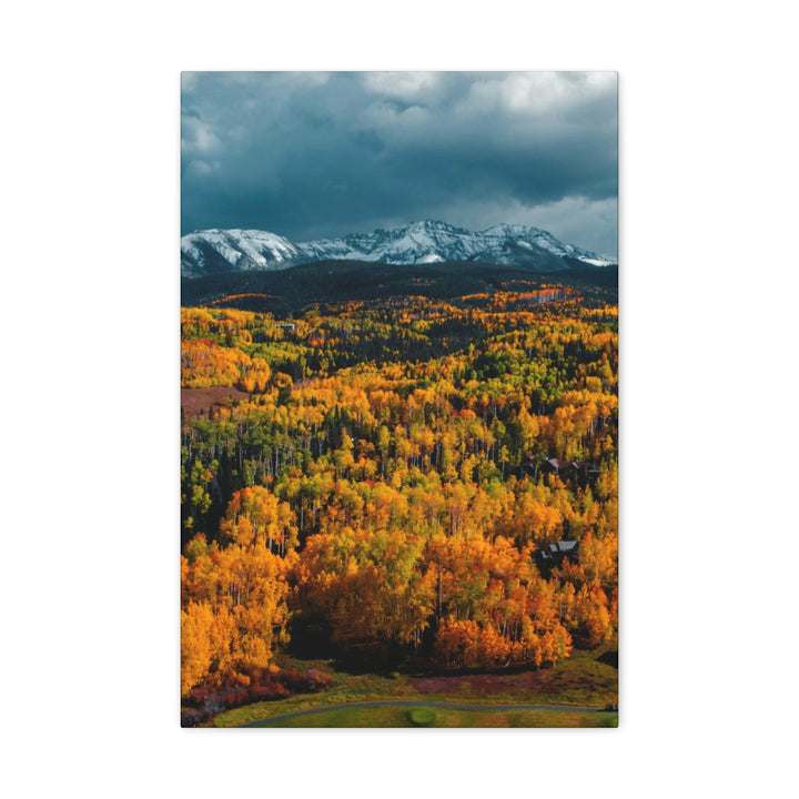 Golds of Autumn - Canvas