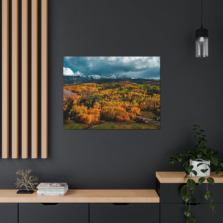 Golds of Autumn - Canvas