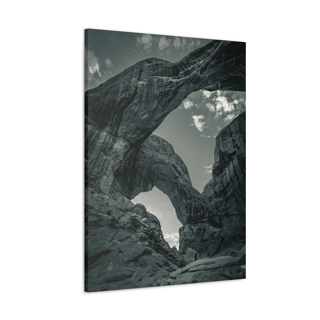 Natural Frames Part 4 in Black and White - Canvas