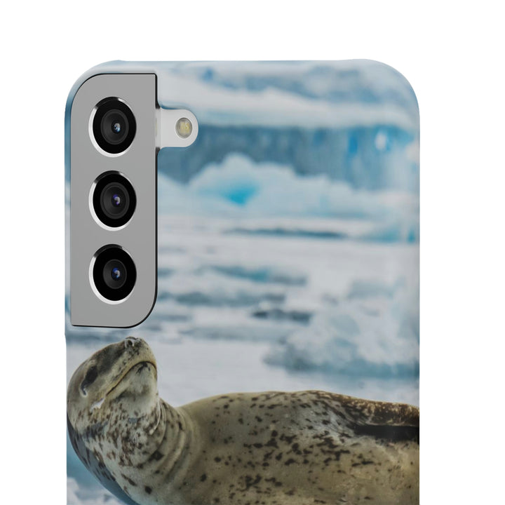 Leopard Seal Relaxing - Phone Case