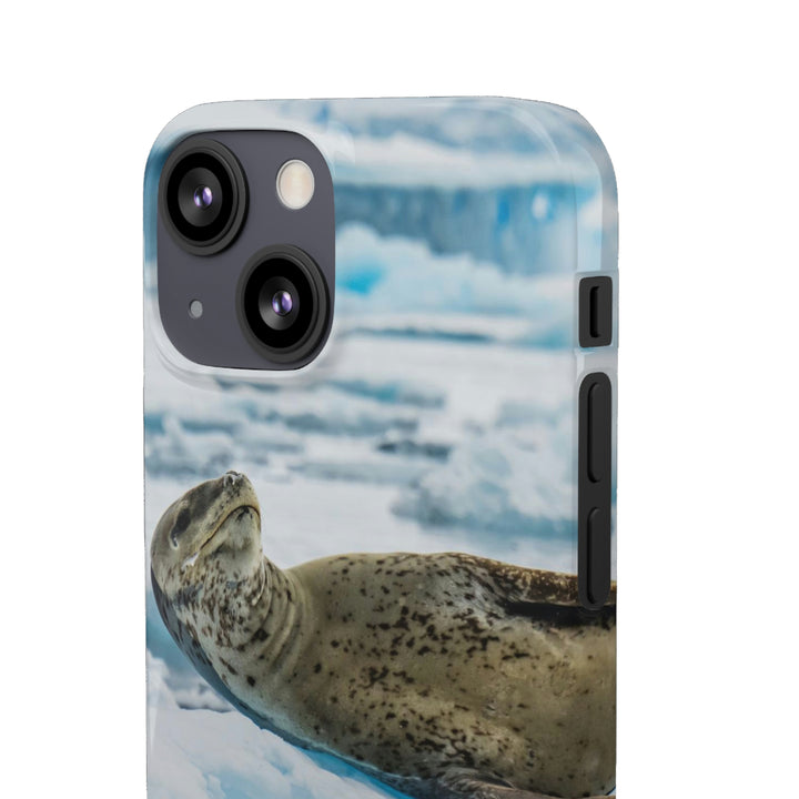 Leopard Seal Relaxing - Phone Case