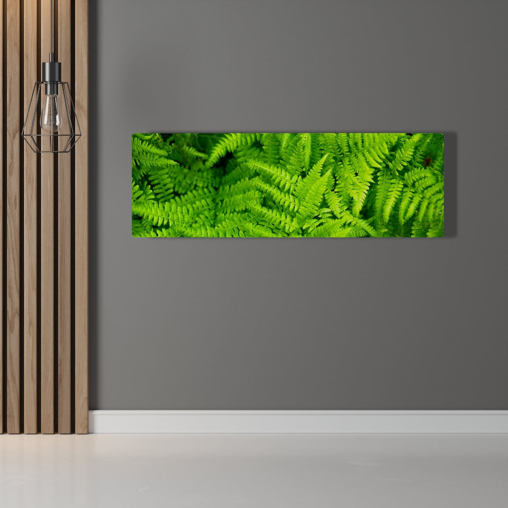 Ferns, Ferns, Ferns - Canvas