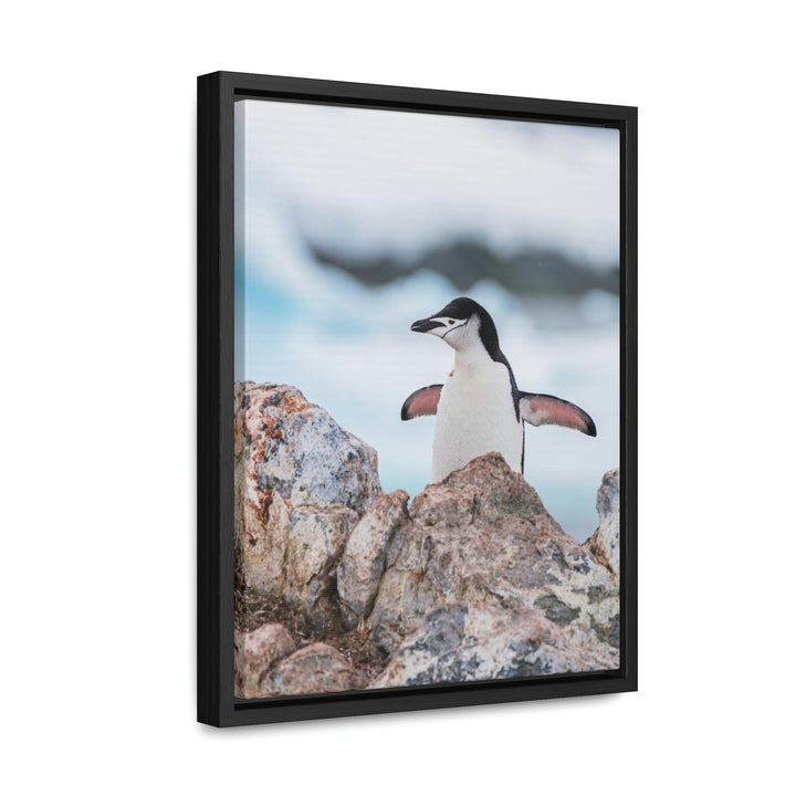 Stretched Penguin - Canvas with Frame