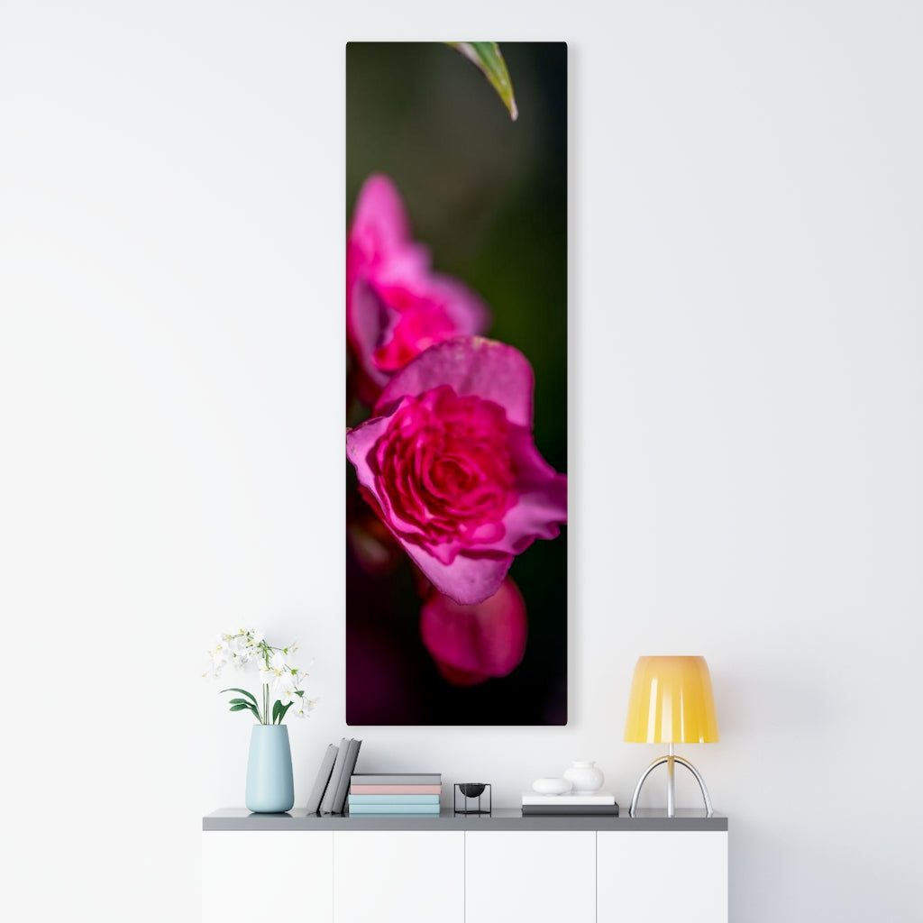 Hybrid Tea Lily - Canvas