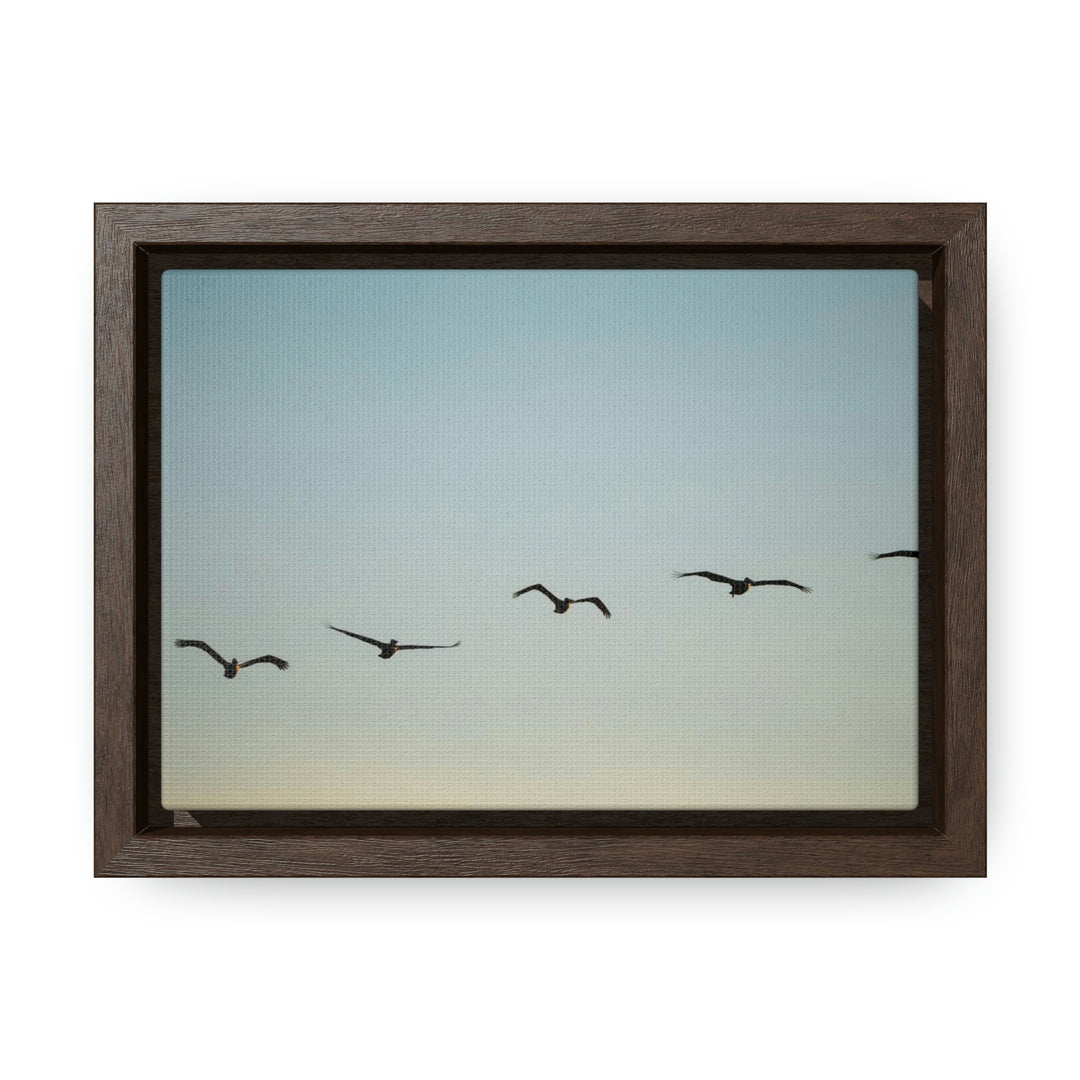 Brown Pelicans in Flight - Canvas with Frame