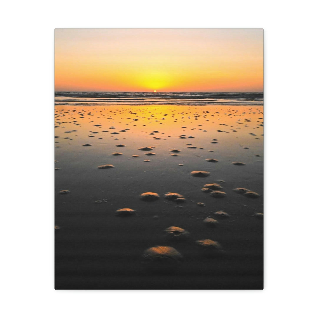 Burrows at Sunrise - Canvas