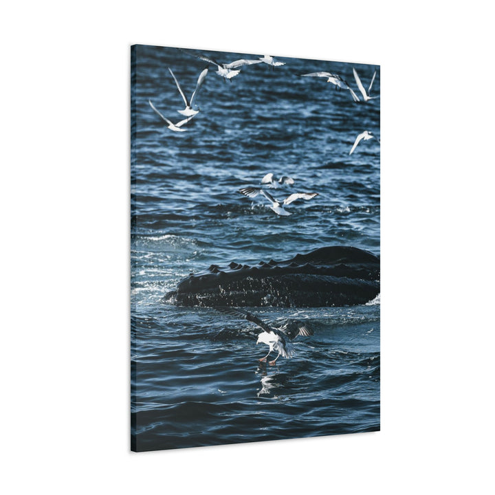 Humpback Hello - Canvas