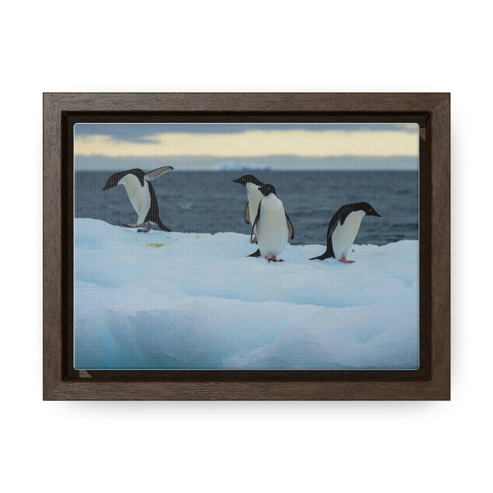 Penguin Dance - Canvas with Frame