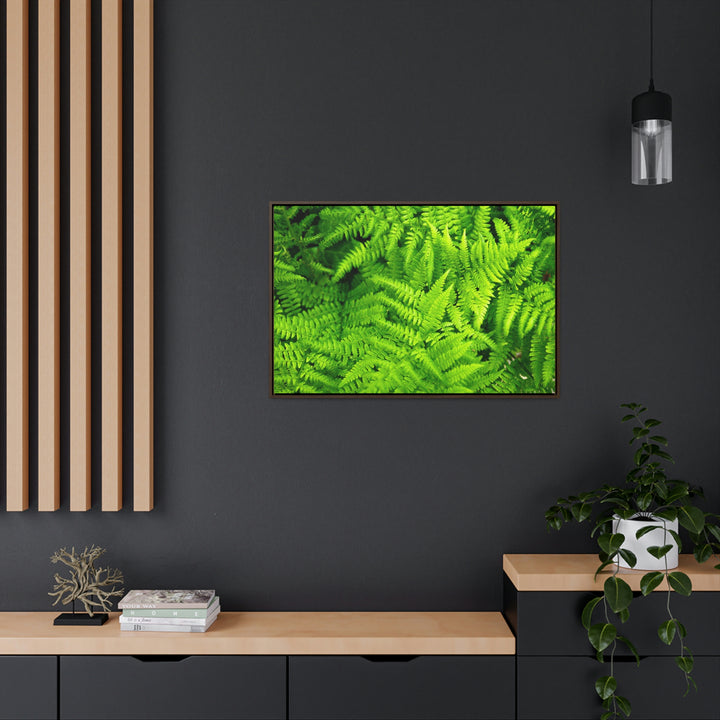 Ferns, Ferns, Ferns - Canvas with Frame