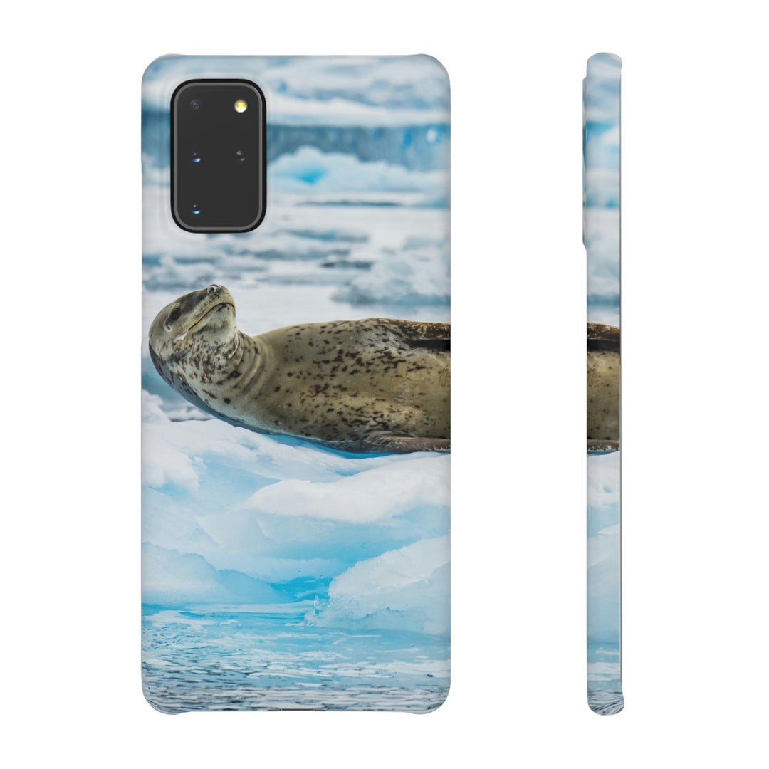 Leopard Seal Relaxing - Phone Case