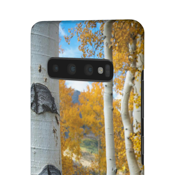 Aspens Changing - Phone Case