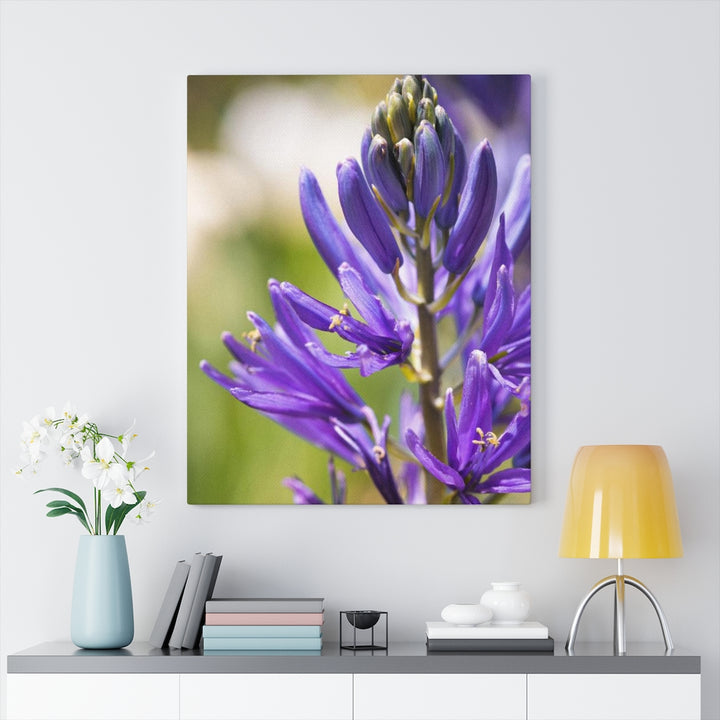 Camas in Bloom - Canvas