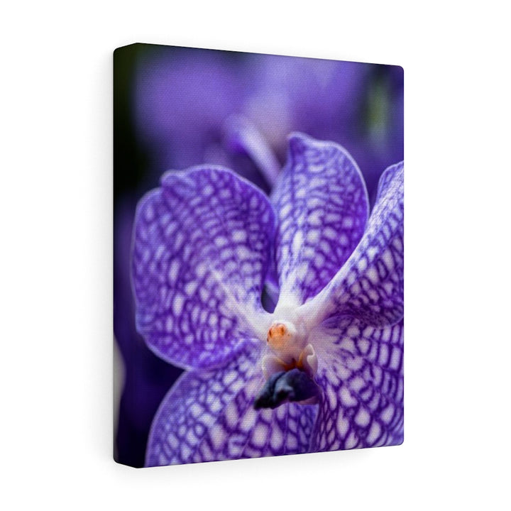 Orchid Detail - Canvas