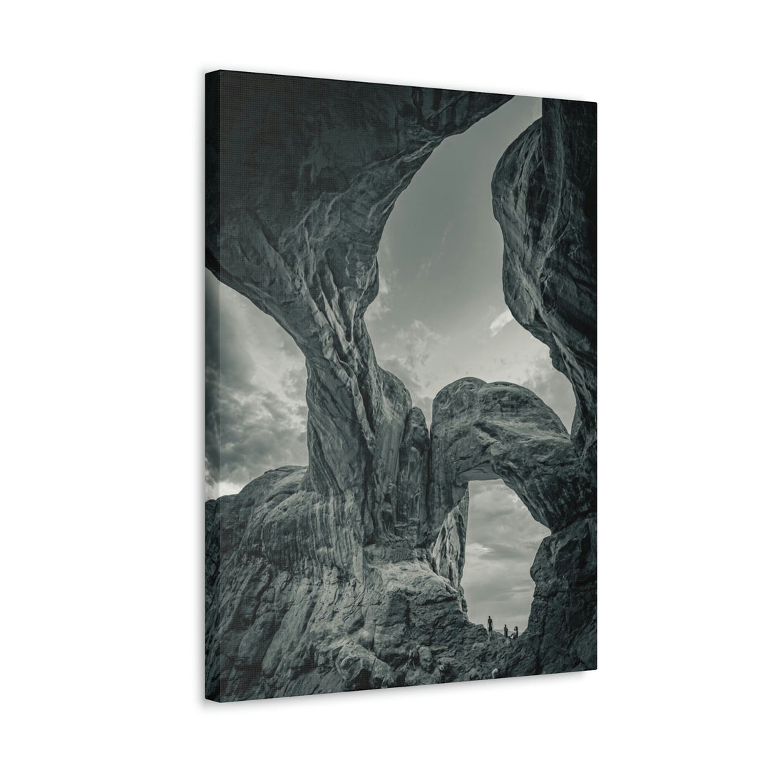 Natural Frames Part 1 in Black and White - Canvas