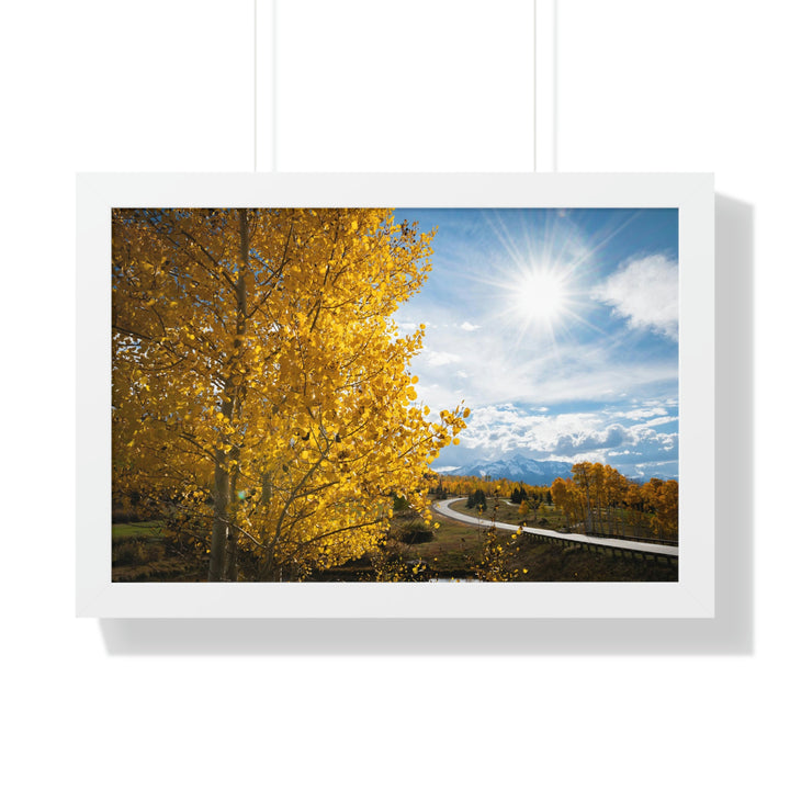 Golden Sunshine - Framed Print