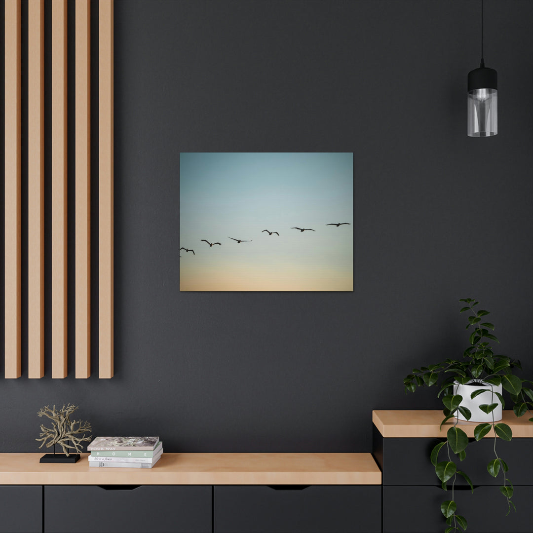 Brown Pelicans in Flight - Canvas