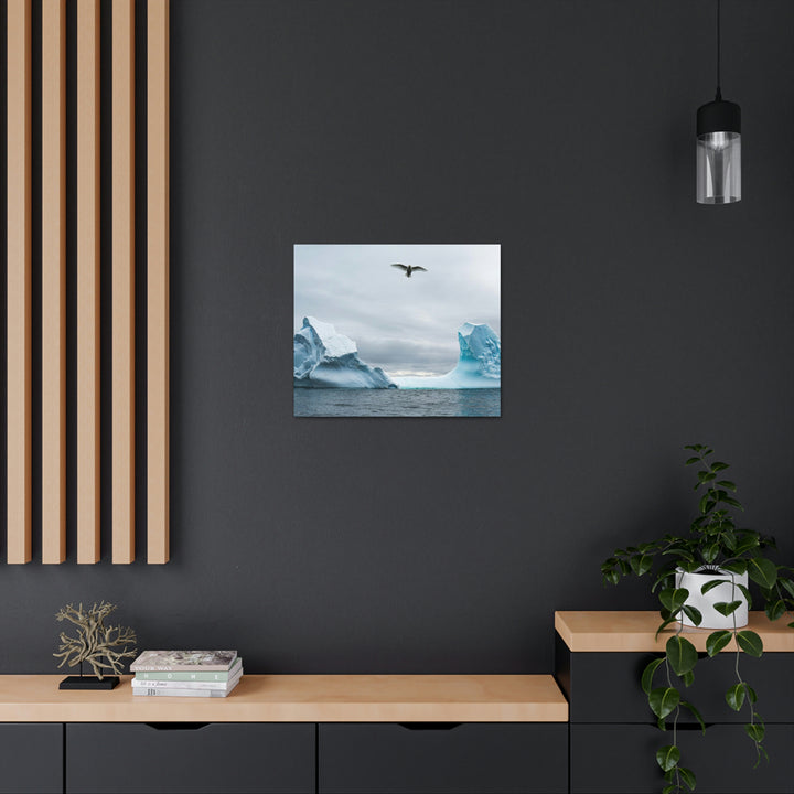 Antarctic Flight - Canvas