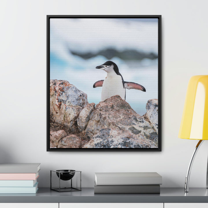 Stretched Penguin - Canvas with Frame