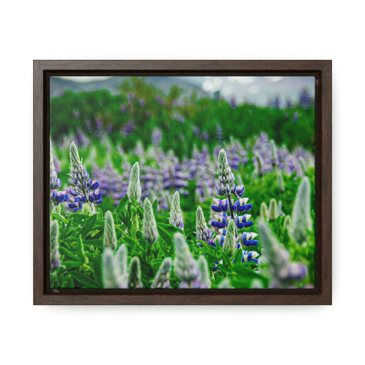 Glowing Lupin with Mountains - Canvas with Frame