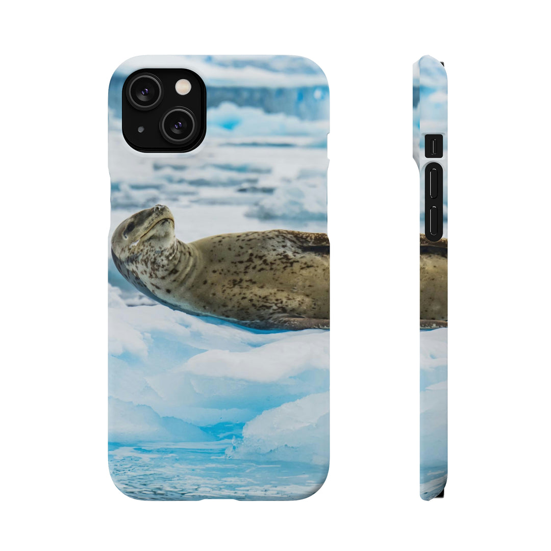 Leopard Seal Relaxing - Phone Case